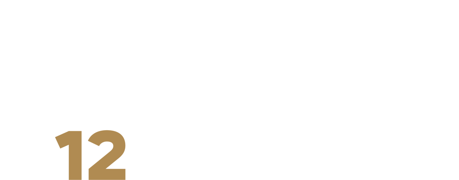 Mint12 LLC
